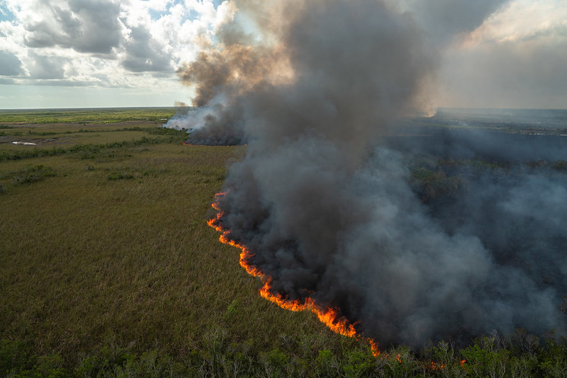 A massive Everglades wildfire has burned 1,600 acres in Broward County